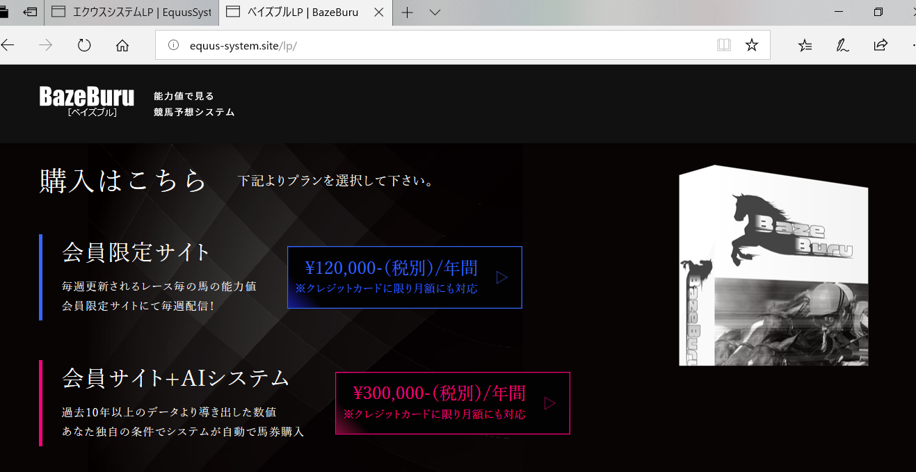 BazeBuru(ベイスブル)システム販売ページ（ベイスブル）の口コミ・評判・評価