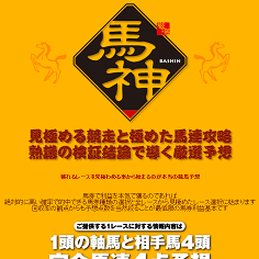 馬神(BASHIN)（バシン）の口コミ・評判・評価